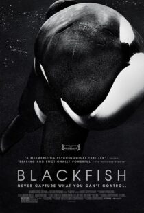 دانلود فیلم Blackfish 2013412328-183989130