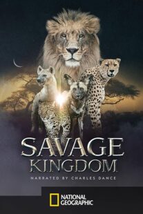 دانلود سریال Savage Kingdom412853-2099152366