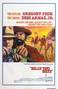 دانلود فیلم Billy Two Hats 1974411057-1513976930